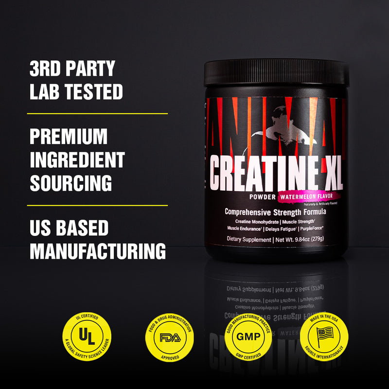 Our Best Quality Creatine Monohydrate Powder