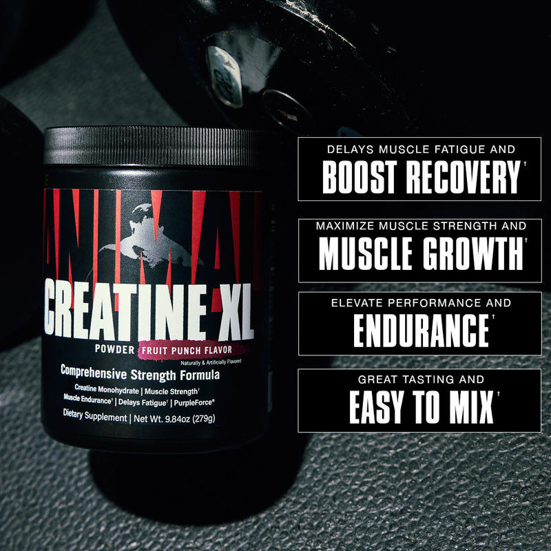 Animal Creatine XL Maximizes Muscle Strength and Muscle Growth